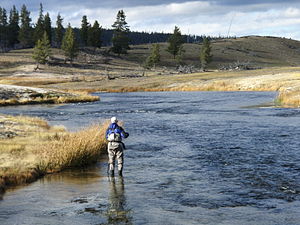 Fly fisherman above Ojo Calenti Bend on the Fi...